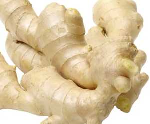 Direct From Farm Organic <b>Fresh</b> <b>Ginger</b> for Global Buyers High in Quality Pure in Taste Now Ready to Export From Farm ready - Product Image 1