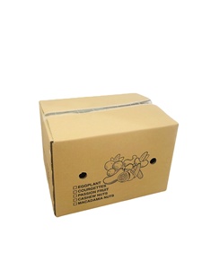 Wholesale Eco Friendly Recycled Materials Corrugated Paper Carton <b>Box</b> Food Grade Custom Logo Vanishing Printing Vegetable Fruit - Product Image 5