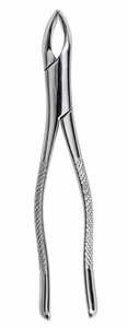 Forceps d'extraction dentaire en acier inoxydable chromé avec poignées texturées et pointes dentelées - Product Image 5