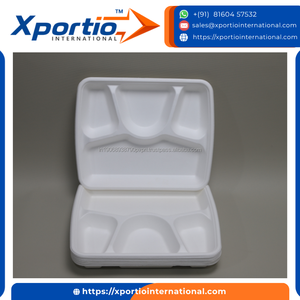 Assiettes carrées écologiques en bagasse de canne à sucre, résistantes à la chaleur, 6/8/10 pouces, pour la restauration et les établissements alimentaires éco-responsables - Product Image 2