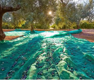 Service de moulage par soufflage industriel de filets de récolte d'olives en PEHD découpés sur mesure, 8G GSM, maille de 1 mm, noir - Product Image 2