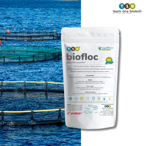 Sistema de Acuicultura Biofloc, Probiótico para Mejorar la Estabilidad del Agua en Estanques - Product Image 5