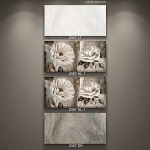 Hecho en India 30x60cm 300x600mm Azulejos de pared digitales de cerámica 12x24 Precio barato Azulejos de porcelana esmaltada para Jordania Omán Argelia - Product Image 6