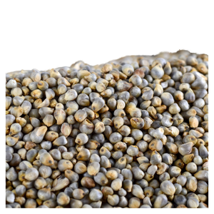 Wholesale Pearl <b>Millet</b> Bajra Supplier Indian <b>Millet</b> Grain For Food Products Bulk Commodity Buyers And Export Markets - Product Image 1