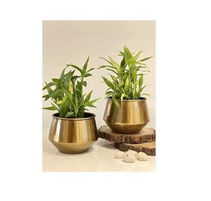 Jardinière rectangulaire en métal pour l'aménagement paysager de jardin, la décoration des balcons et des fenêtres - Product Image 5