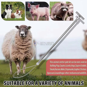 Herramienta Profesional Personalizada de Sujeción de Cerdos de Acero Inoxidable de 18 Pulgadas con Liberación Rápida para Granja, Instrumentos Quirúrgicos Veterinarios - Product Image 4