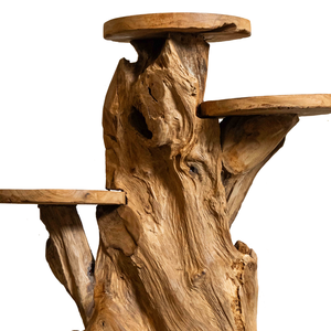ARTERRA Premium Organic Teak Root Rustic Display Stand Handcrafted Solid Wood <b>Indoor</b>/Outdoor Home <b>Decor</b> - Product Image 6