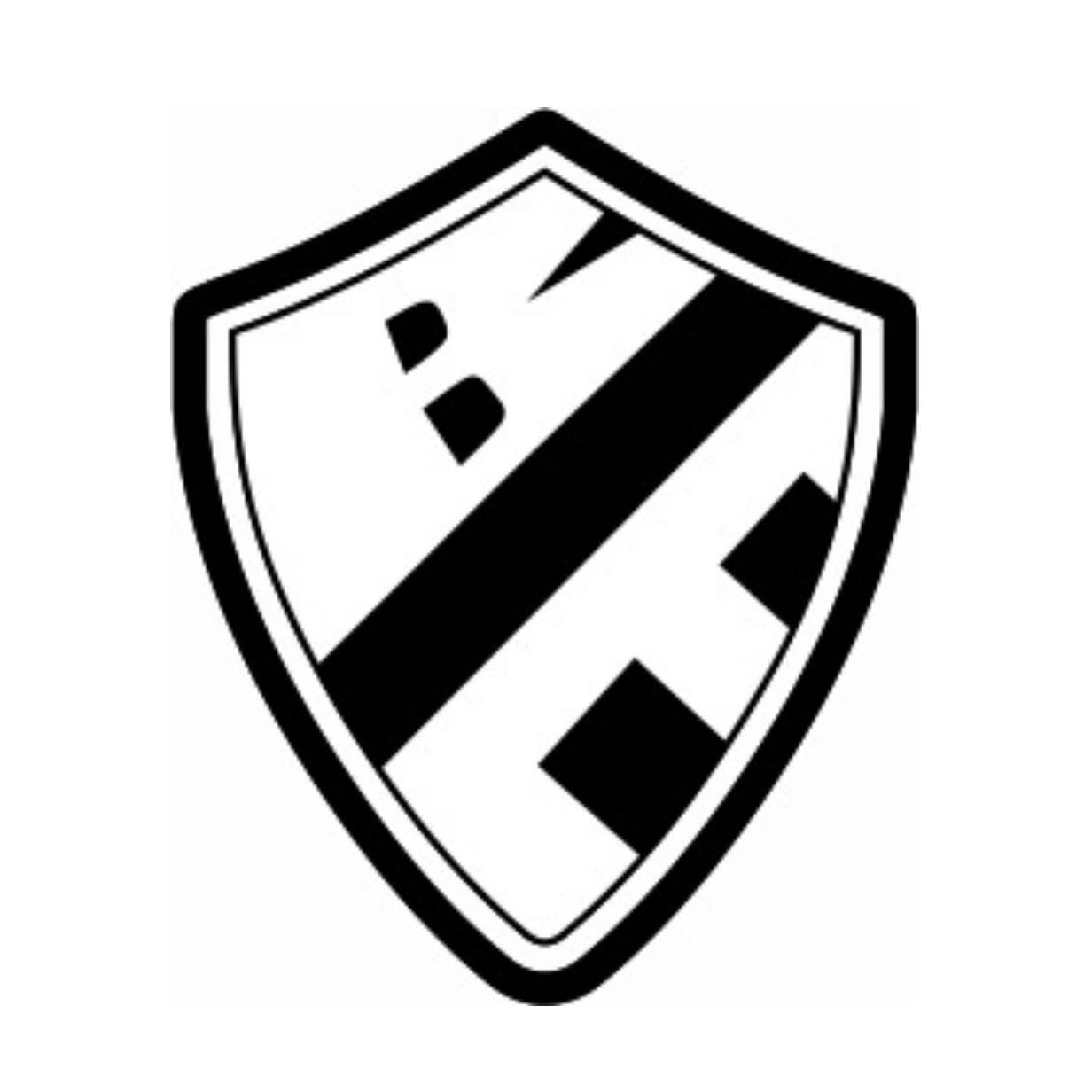 BRISK ENTERPRISES logo