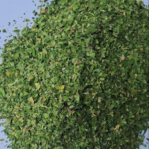 Hojas de Moringa 100% Secadas a Máquina, Calidad Premium, Grado de Exportación, Proveedor al por Mayor - Product Image 1