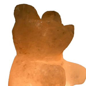 Lampe de table en forme d'animal en sel organique écologique sculpté à la main - Décoration d'intérieur - Product Image 5