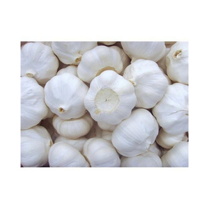 Ail frais naturel de qualité supérieure, bulbes d'ail en vrac, fournisseur pour les marchés de gros internationaux de légumes - Product Image 4