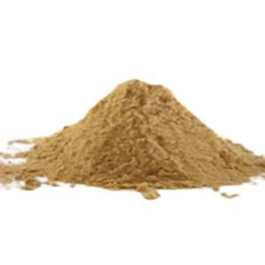 Proveedor Certificado de Hierbas, Extracto de Solanum Xanthocarpum en Polvo, Ingrediente Natural para Productos de Bienestar Respiratorio, OEM - Product Image 2