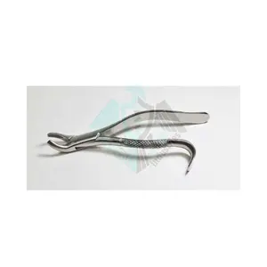 High Quality Dental Extracting Forceps American Pattern Number 24 Stainless Steel With Your Own Brand Name