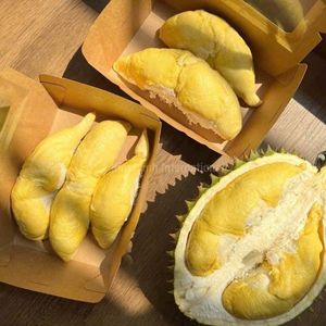 Durian Fresco de Calidad de Exportación |   Proveedor Vietnamita de Sabor Dulce Premium - Product Image 6