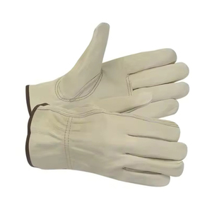 Cut Resistant Work <b>Gloves</b> High Quality Safety Protection Wholesale Supplier Custom Branding ODM 2026 Unique Color Collection - Product Image 3