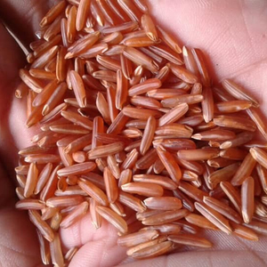 TOP #1 Nutrition saine Riz Riz Arroz Prix d'usine en gros | Qualité ISO UE | Riz gluant vietnamien brun rouge noir LINDA - Product Image 4