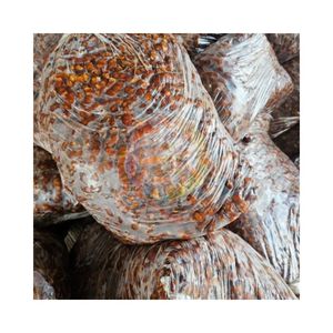 NATURAL PURE Raw Tamarind Meat <b>Shaped</b> <b>Blocks</b> Premium Professional Kitchen Use Ensuring Reliable Taste Texture - Product Image 4