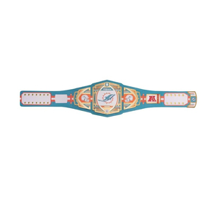 Ceinture de championnat des Dolphins de Miami inspirée des Bengals, personnalisée pour la lutte professionnelle, ceinture de titre de haute qualité et de poids lourd - Product Image 6