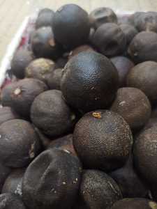 Prix direct usine – Tranches d'agrumes séchées (citron vert, citron, kumquat, calamansi) pour le marché américain du thé et des boissons – Vente en gros à prix réduit - Product Image 5