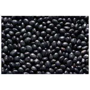 Haricots rouges foncés biologiques de haute qualité en gros - Product Image 6