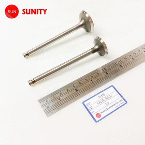 TAIWAN SUNITY soupape d'aspiration TS130 de haute qualité OEM 104600-11100 soupape d'échappement 103854-11110 pour vanne YANMAR TS130 en ex - Product Image 1