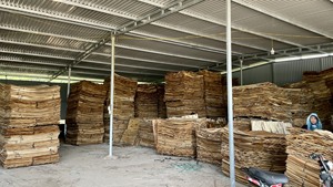 Placage en bois d'ingénierie - Placage en bois de caoutchouc - Placage en caoutchouc découpé sur mesure - Exportation de placage vers la Chine - Product Image 6