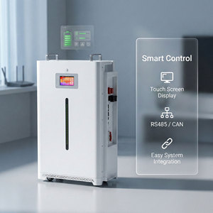 แบตเตอรี่สำรองสำหรับบ้าน ฟิลิปปินส์ สต็อก 48V 15kWh LiFePO4 300Ah ระบบกักเก็บพลังงานแบบติดผนัง 6000 รอบการใช้งาน รับประกัน 10 ปี - Product Image 3