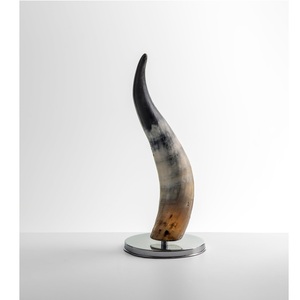 Decorative Show Piece Bull Horn for Table and Wall Decorative Long Ox Horn Natural Buffalo Horn for Home Decoration - Product Image 3