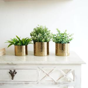 Juego de 3 Macetas Decorativas de Hierro con Acabado Dorado, Perfectas para Plantas de Interior, Suculentas, Hierbas y Decoración Moderna para el Hogar y la Oficina - Product Image 4