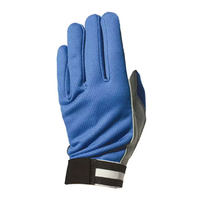 Neue Großhandels-Herrenhandschuhe in Anpassbaren Farben, Wasserdicht, Vollfingerhandschuhe für Fallschirmspringen, Snowboarden, Winter mit Zugverschluss