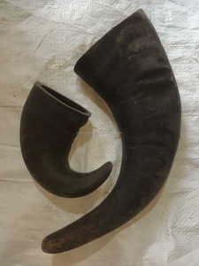 Cuerno de búfalo de alta calidad, cuerno para masticar perros y comida para perros, cuerno para masticar de búfalo genuino con tamaño personalizado al precio más bajo - Product Image 4