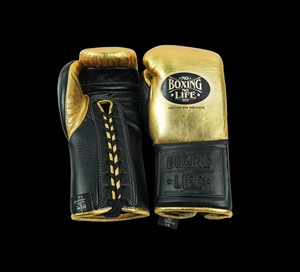 Guantes de Boxeo RTS de Primera Calidad a Precio de Mayoreo, Guantes de Boxeo Profesionales de Piel Genuina Antideslizantes para Sparring, Modelo AS-BG-5046 - Product Image 1