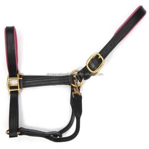 Licol de cheval rembourré doux et coloré, produit d'équitation confortable, réglable, collier de tête, avec boucle et anneaux en laiton massif - Product Image 3