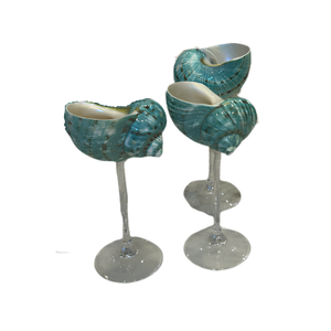 Natural Vietnam Conch Seashell Goblet Handmade from Genuine Seashell for Interior Decoration, Events and Retail Display - Product Image 2
