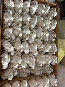 Fleurs de pivoine en bois de Sola faites à la main, durables et économiques, en vrac, avec taille personnalisable 11 CM - Product Image 4
