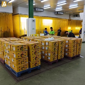 Tailandia Monthong Durian Pulpa congelada Suministro a granel Exportación al por mayor Thai Durian Premium Calidad fresca Exportación Proveedor - Product Image 2