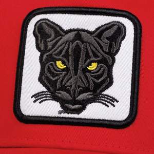 Casquette Snapback Unisexe Imperméable à 6 Panneaux avec Broderie de Logo Personnalisé à Faible MOQ, Casquettes Trucker Sublimées Personnalisées en Maille 100% Polyester pour le Baseball - Product Image 5