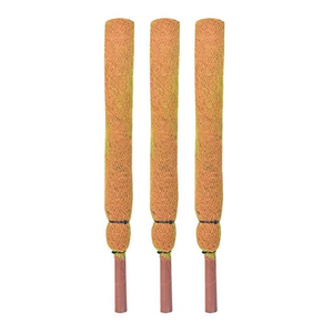 Macetas de Fibra de Coco Hechas a Mano en India, Ecológicas y Ligeras, de 8-16 Pulgadas, Macetas Altas para Flores, Sin Recubrimiento, de Shrekha Creations - Product Image 1