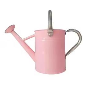 Arrosoir en métal pour jardin domestique, arrosoir en acier inoxydable - Product Image 2