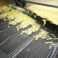 Aanpasbare 304 Food-Grade Roestvrijstalen Frietchips Die Machine Automatische 100Kg Lijnproductie Maken