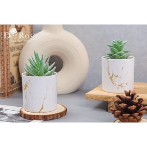 Set di 2 accessori da scrivania per donna, piante succulente artificiali, finta vegetazione per casa e ufficio - Product Image 4