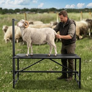 Supporto Professionale per Bestiame (Ovini e Suini) con Altezza Regolabile in Ghisa e Acciaio, Nuovo e Usato, per Uso Agricolo - Product Image 4