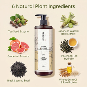 Champú Natural de Semillas de Té para Proteger el Color y Fortalecer el Cabello 400ml |   Sin silicona |   Cuidado Herbal del Cuero Cabelludo |   OEM/ODM Disponible - Product Image 3