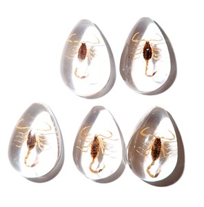 Cabochon Golden Scorpion Pear Shape Cut <b>Top</b> 25x17 mm White Flat Bottom for Crafts and Jewelry Making - Product Image 4