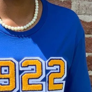 T-shirt unisexe bleu roi 1922 avec imprimé graphique, col rond décontracté, manches courtes, mode streetwear, vêtements personnalisés en gros - Product Image 6