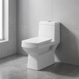Offre Spéciale – WC Monobloc en Céramique Écologique, Cuvette de Toilette en Porcelaine pour Hôtels - Product Image 1
