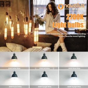 Lampadine LED Vintage Edison Dimmerabili da 8.9 Pollici, Attacco E26, 6W 800LM 2700K Bianco Caldo, T10 T9 AC 120V, Equivalente a 80 Watt, in Vetro Trasparente - Product Image 4