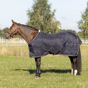 Mantas para Caballos con Diseño a Juego para Propietarios de Caballos, Mantas Personalizadas Impermeables para Invierno, Nueva Llegada - Product Image 1