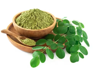 Poudre de feuilles de Moringa séchées sauvages, qualité alimentaire, extraction par solvant, emballée sous vide pour ingrédients à base de plantes et alimentaires - Product Image 2