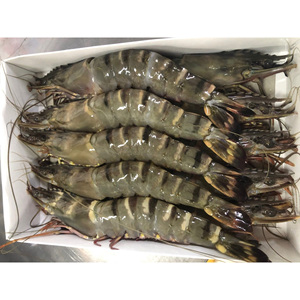 Camarones congelados de primera calidad al por mayor a precio económico, camarones Black Tiger - Product Image 1